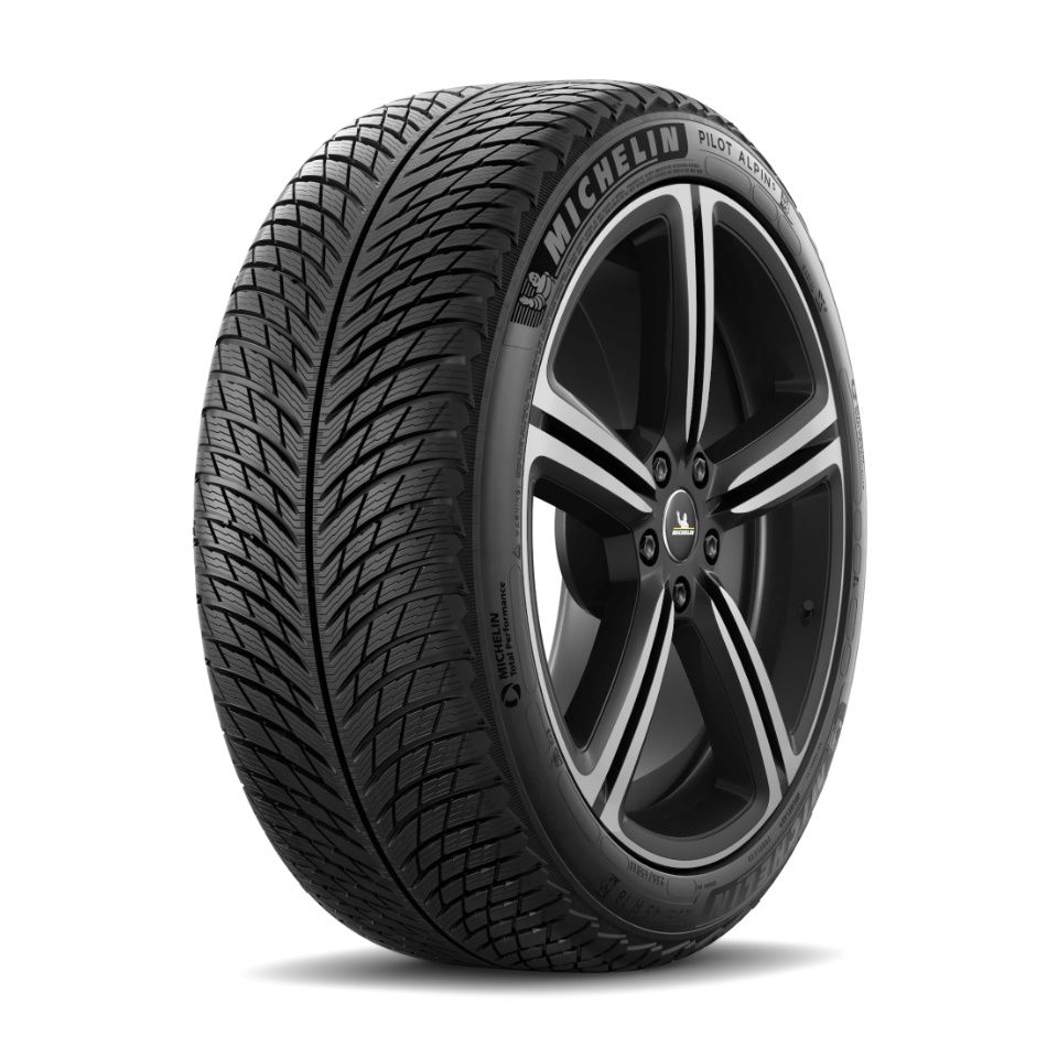 michelin 255/40R21 v 102 pilot alpin 5 